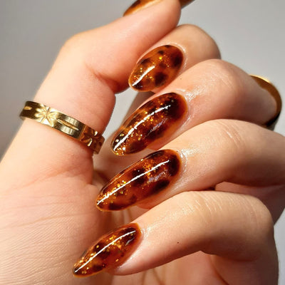 Brown Jellie
