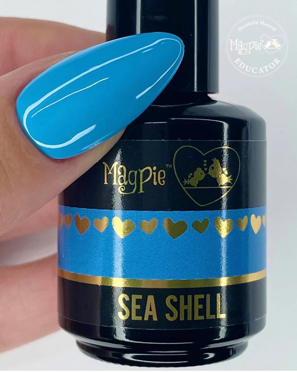 Sea Shell