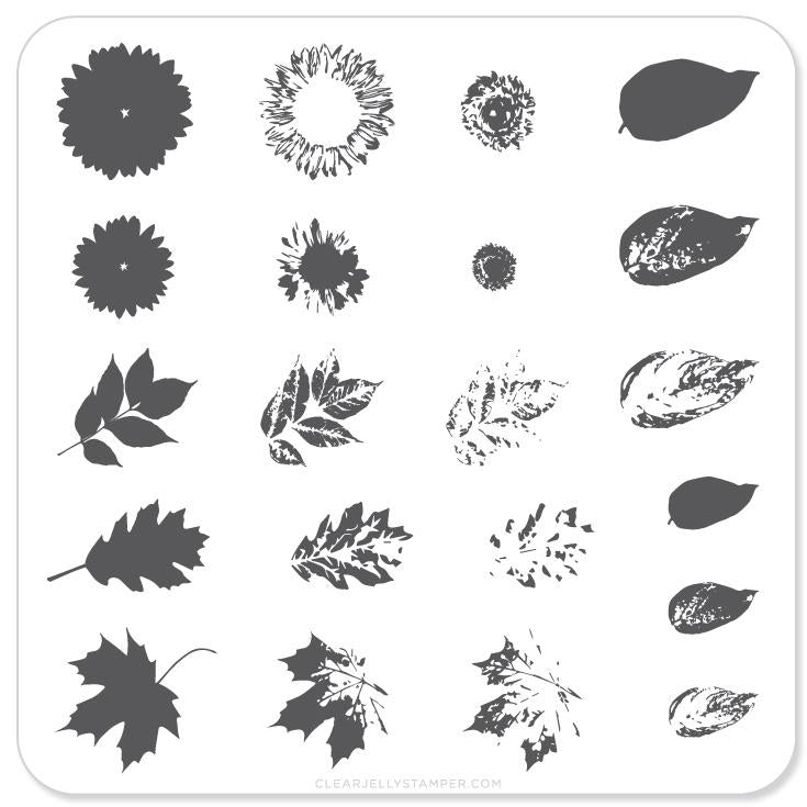 Sunflower and Leaves (CjS 26) - Steel Stamping Plate
