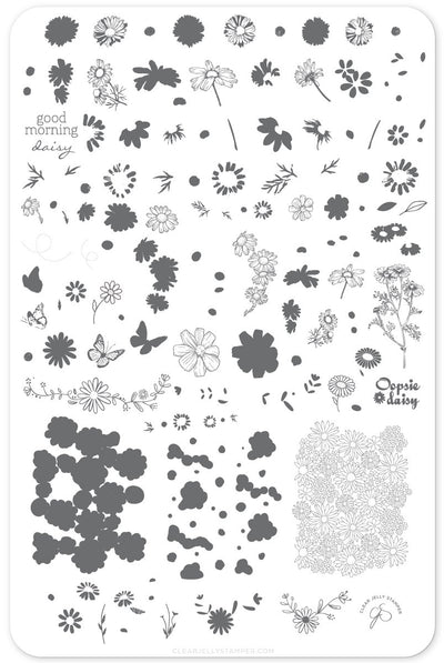 I Dream of Daisies (CjS-104) Steel Stamping Plate